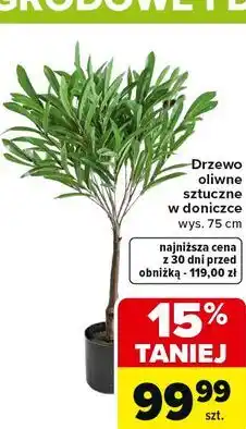 Carrefour Drzewko dekoracyjne oliwkowe oferta
