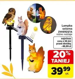 Carrefour Lampka solarna zwierzak oferta