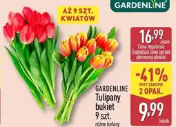 ALDI GARDENLINE Tulipany bukiet 9 szt. różne kolory oferta