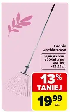 Carrefour Grabie wachlarzowate oferta