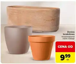 Carrefour Donica terakota oferta
