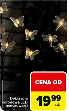 Carrefour Dekoracja solarowa ważka oferta