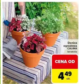 Carrefour Doniczka calima oferta