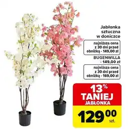 Carrefour Bugenwilla oferta