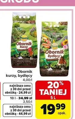 Carrefour Obornik bydlęcy Planta (Ogrodowe) oferta