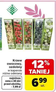 Carrefour Malina oferta