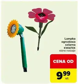 Carrefour Lampka ogrodowa solarna kula oferta
