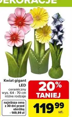 Carrefour Kwiat dekoracyjny ceramiczny led oferta