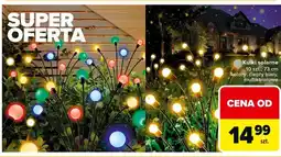 Carrefour Kulki solarne oferta