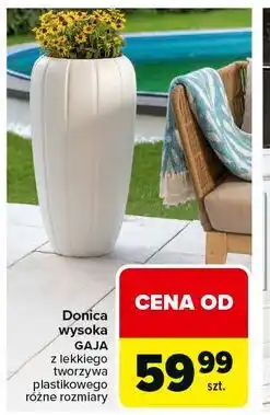 Carrefour Doniczka gaja oferta