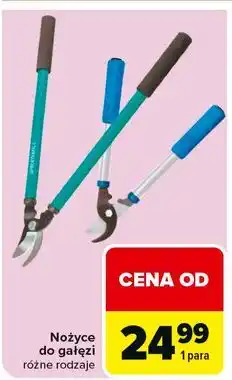 Carrefour Nożyce do gałęzi oferta
