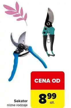 Carrefour Sekator oferta