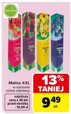 Carrefour Malina purpurowa Gartenland oferta