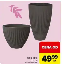 Carrefour Doniczka lotus wys. 60 cm antracyt oferta