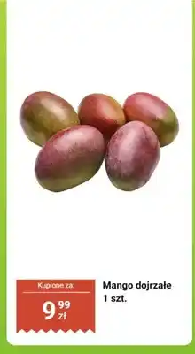 Biedronka Mango dojrzałe 1 szt oferta