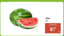Biedronka Arbuz luz oferta