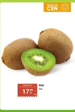 Dino Kiwi luz oferta