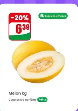 Dino Melon oferta