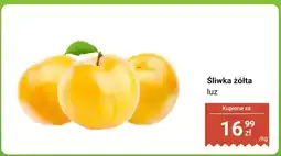 Biedronka Śliwka żółta luz oferta