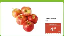 Biedronka Jabłko polskie luz oferta