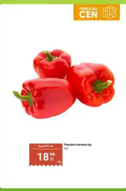 Dino Papryka czerwona luz oferta