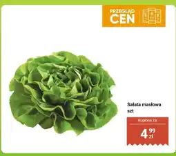 Dino Sałata masłowa 1 szt oferta