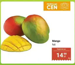Dino Mango luz oferta