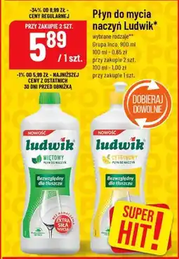 Polomarket Płyn do mycia naczyń ludwik oferta