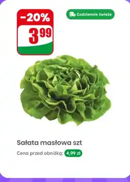 Dino Sałata masłowa 1 szt oferta