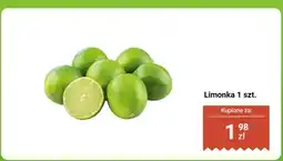 Biedronka Limonka 1 szt oferta