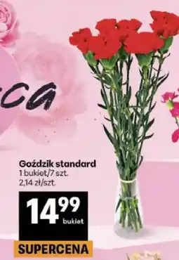 Delikatesy Centrum Goździk standard oferta