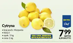 Makro Cytryna oferta