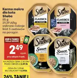 Delikatesy Centrum Karma mokra dla kota wybrane rodzaje oferta