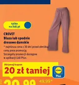Lidl Spodnie dresowe damskie oferta
