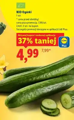 Lidl Ogórki bio 1 szt oferta