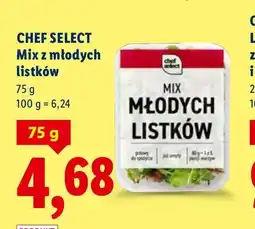 Lidl Mix z młodych listków oferta