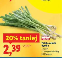 Lidl Cebula dymka polska, pęczek oferta