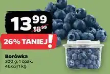 Netto Borówki amerykańskie oferta