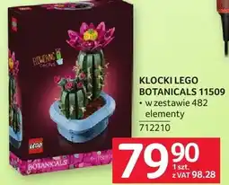 Selgros Klocki LEGO Botanicals 11509 w zestawie 482 elementy oferta