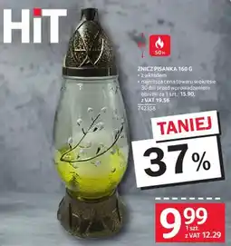 Selgros Znicz pisanka oferta