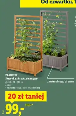 Lidl Skrzynka z kratką do pnączy ok. 60x28x100 cm oferta