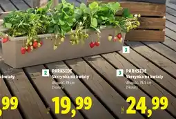 Lidl Skrzynka na kwiaty długość: 78,5 cm oferta