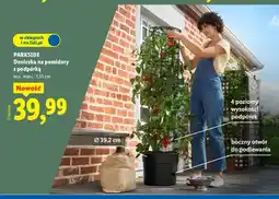 Lidl Doniczka na pomidory z podpórką wys. maks.: 1,53 cm oferta