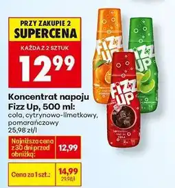 Biedronka Koncentrat napoju Fizz Up, 500 ml oferta