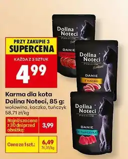 Biedronka Dolina Noteci oferta