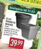 ALDI BELAVI Osłonka na doniczkę oferta