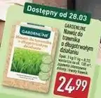ALDI GARDENLINE Nawóz do trawnika o długotrwałym działaniu oferta