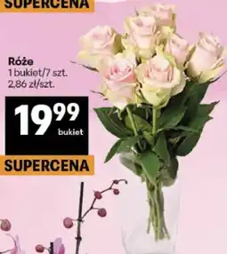 Delikatesy Centrum Róże 1 bukiet/7 szt oferta