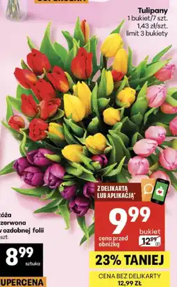 Delikatesy Centrum Tulipany 1 bukiet/7 szt oferta