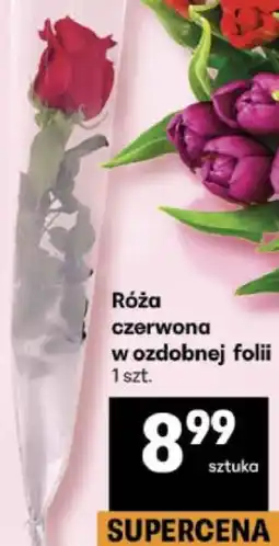 Delikatesy Centrum Róża czerwona w ozdobnej folii 1 szt oferta
